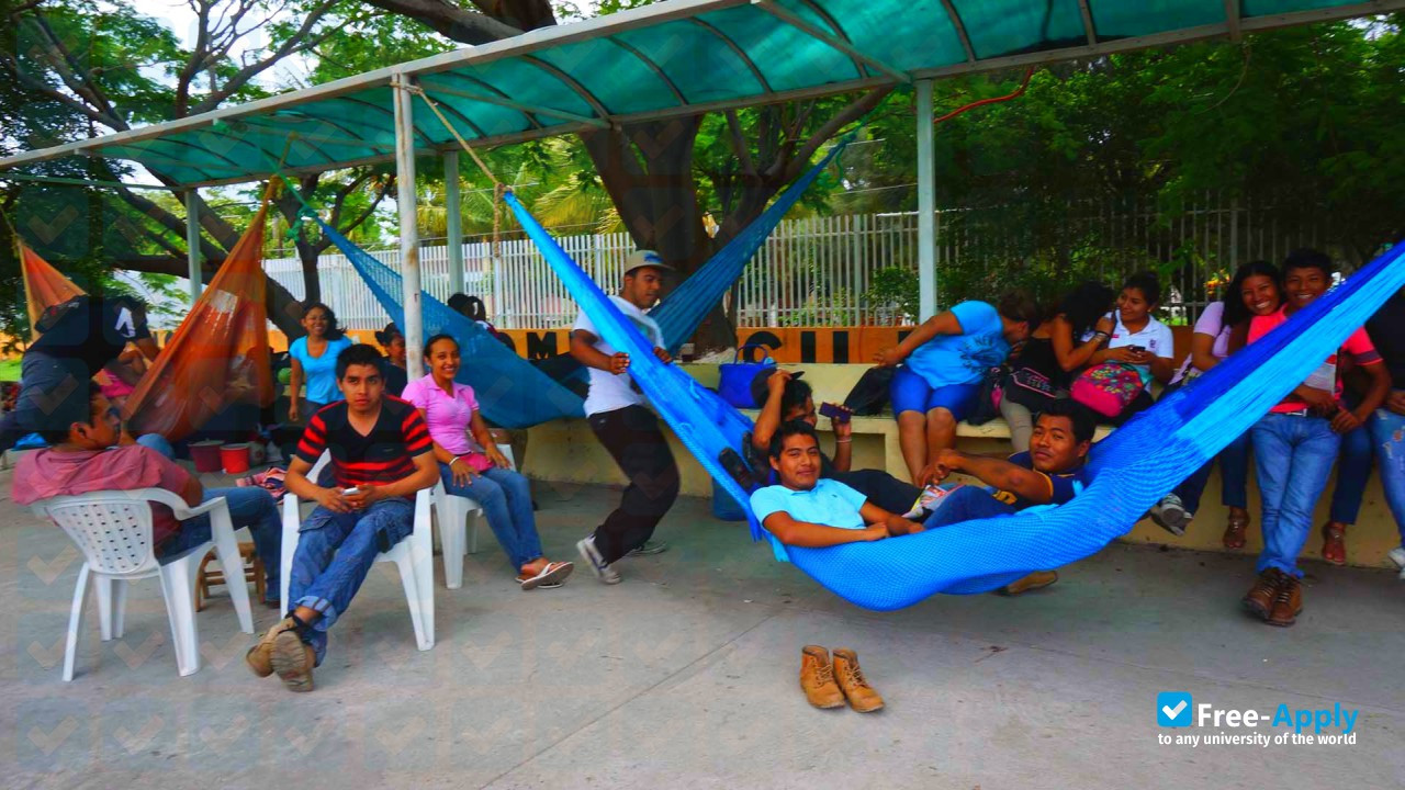 Technological Institute of Comitancillo photo #4