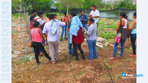 Foto de la Conkal Institute of Technology #11