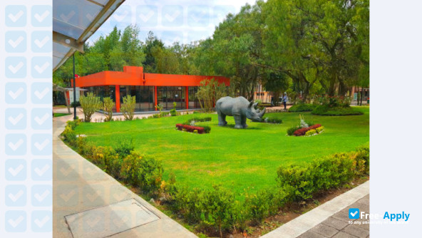 Technological Institute of Cuautitlán Izcalli photo #13