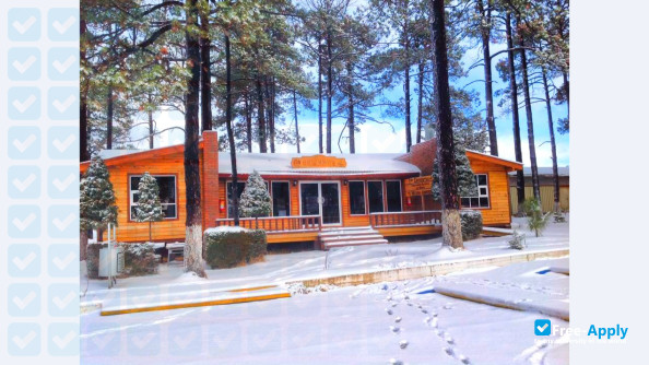 Technological Institute of El Salto photo #7