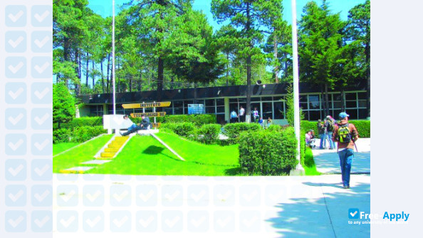 Technological Institute of El Salto photo #3