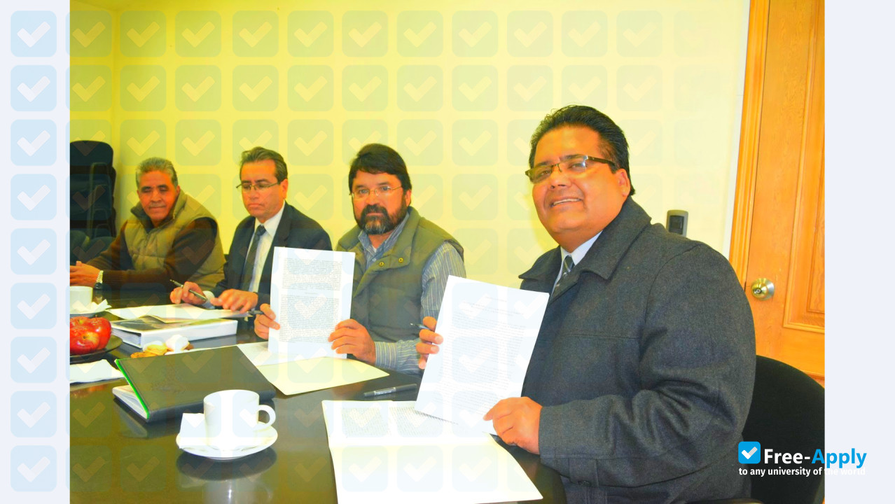 Technological Institute of El Salto photo #6