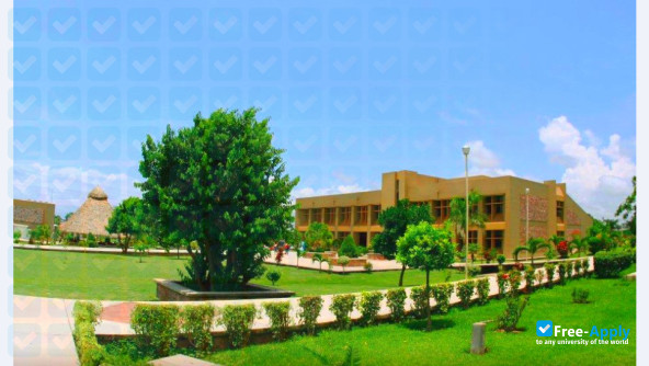 Technological Institute of Puerto Vallarta (Tec Valarta) photo