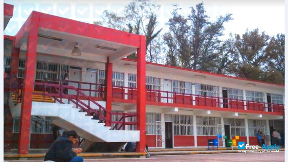 Technological Institute of Roque photo #8