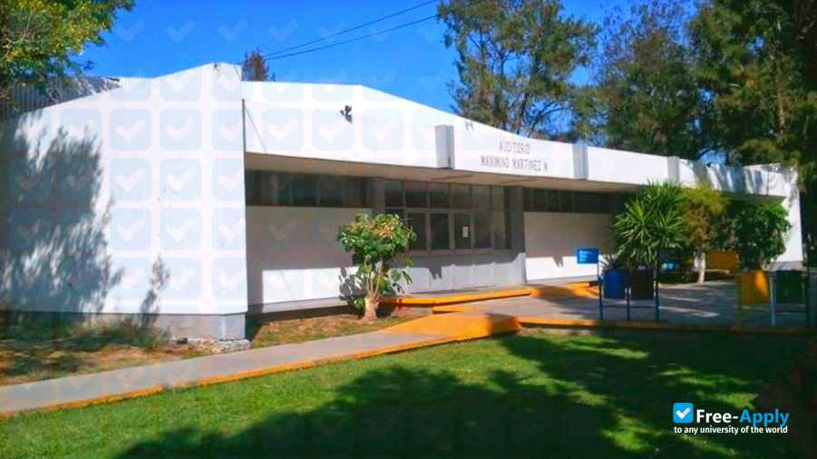 Technological Institute of Roque photo