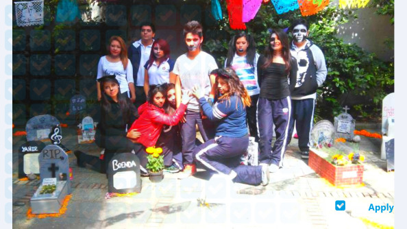 Mexican Institute of Professional Education photo #12