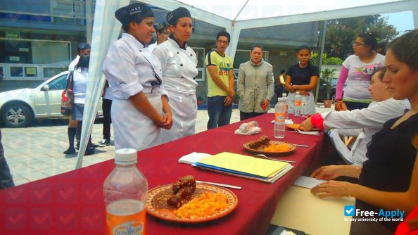 Mexican Institute of Professional Education photo #7