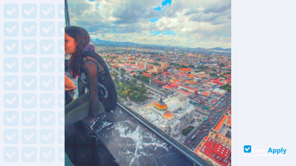 Mexican Institute of Tourism фотография №5