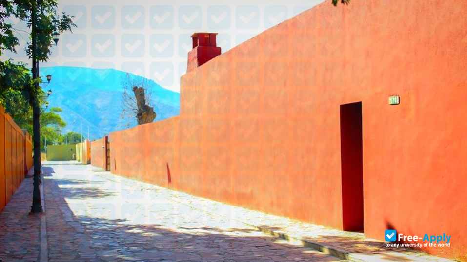 Mexican Institute of Tourism фотография №10