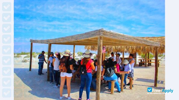 Mexican Institute of Tourism photo
