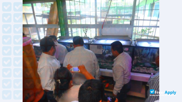 Technological Institute of Huejutla photo #7