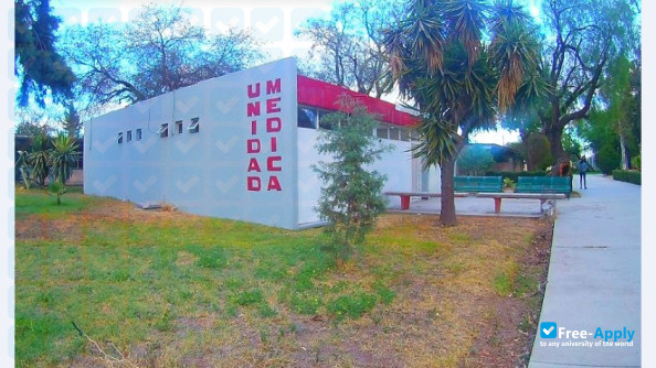Technological Institute of San Luis Potosi photo #6