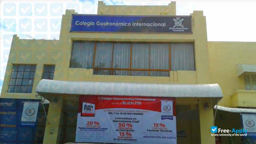 International Gastronomic College photo #4
