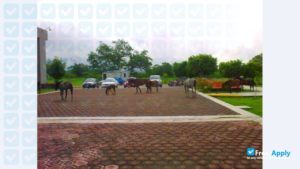 Instituto Tecnológico de Iguala photo #4