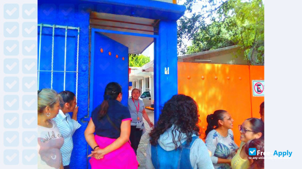 Bonampak Institute photo #6