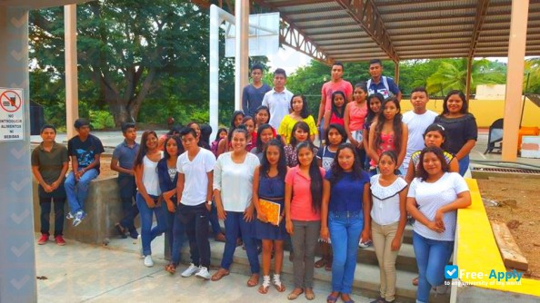 Foto de la Technological Institute of Costa Chica #11