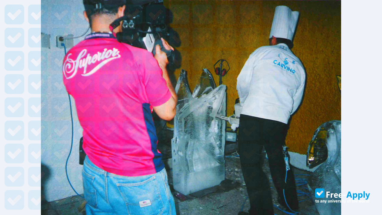 Culinary Institute of Veracruz photo #9