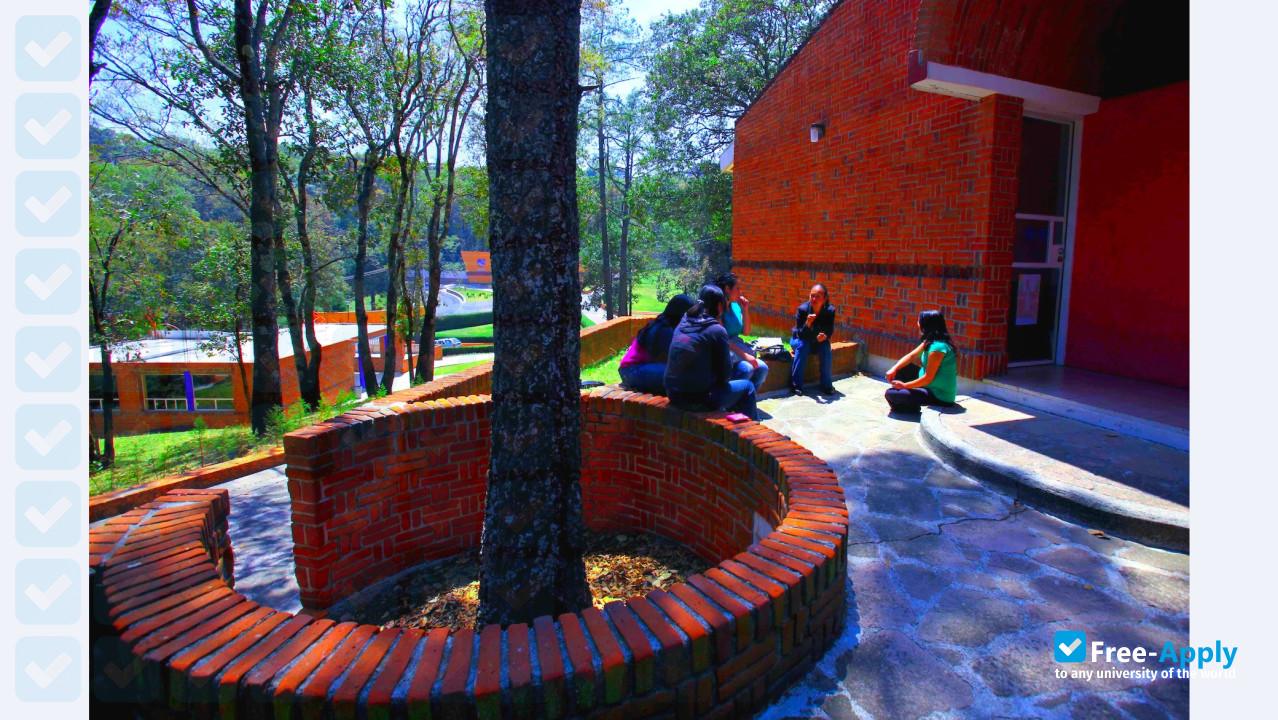 Albert Einstein University Mexico photo #9