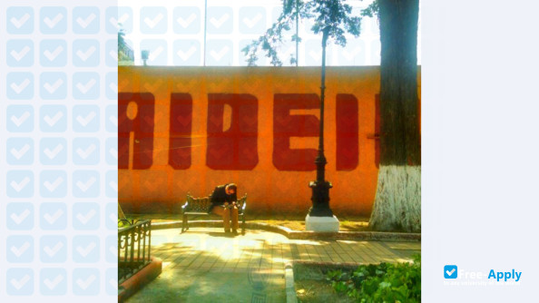 Cultural Institute Paideia photo #10