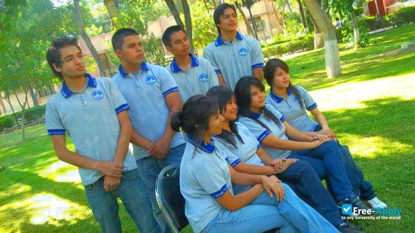 Foto de la Institute of Science and Culture #5