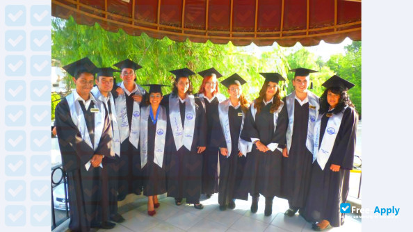 Institute of Science and Culture photo #4