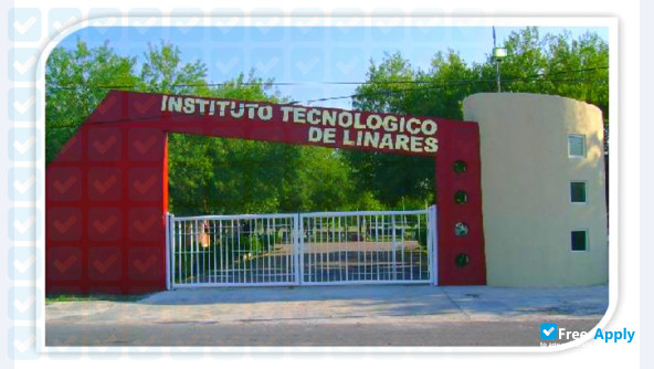 Photo de l’Technological Institute of Linares #5