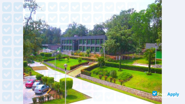 Technological Institute of Tamazunchale photo #4