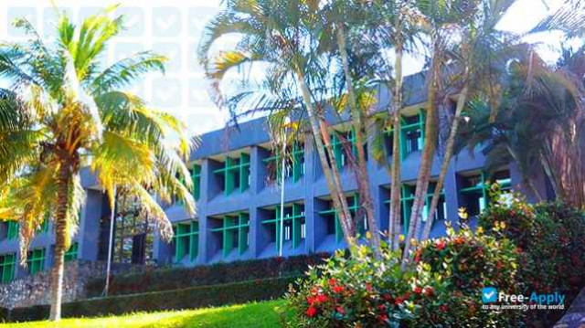 Technological Institute of Tamazunchale photo #1