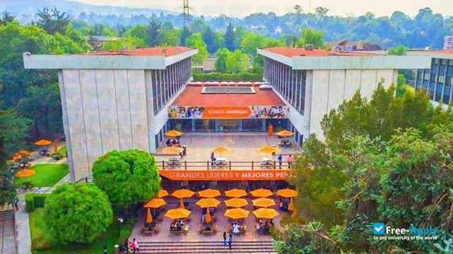 Фотография Anahuac University South Mexico