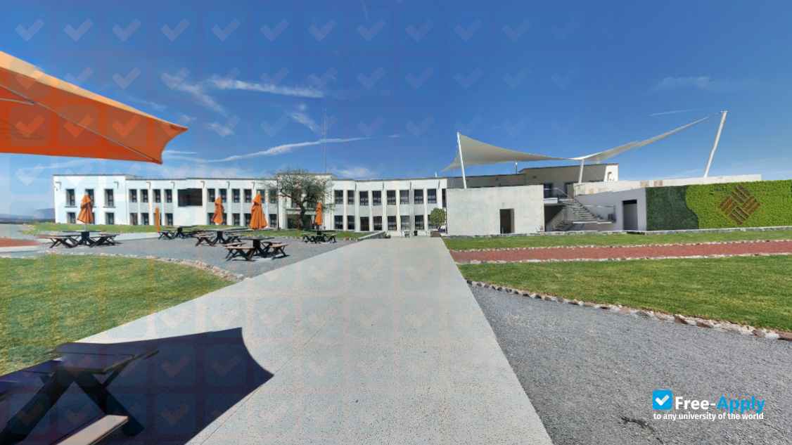 University Anahuac Querétaro фотография №4