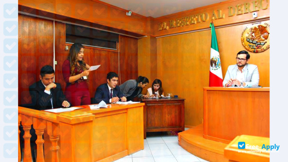 Institute of Legal Sciences of Puebla photo #9