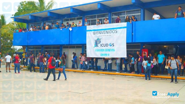 Technological Institute of Mazatlán photo #8
