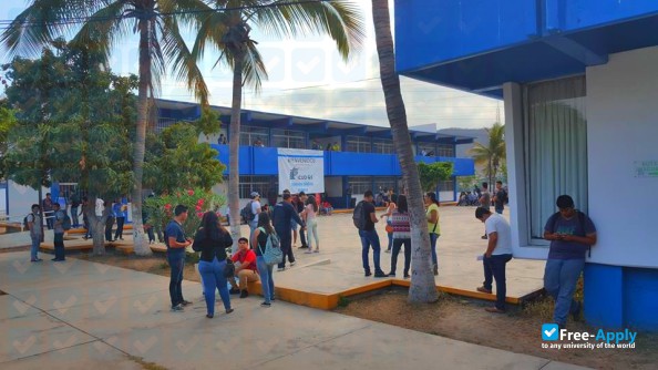 Technological Institute of Mazatlán photo #6