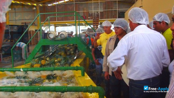 Higher Agricultural College of the State of Guerrero photo #2