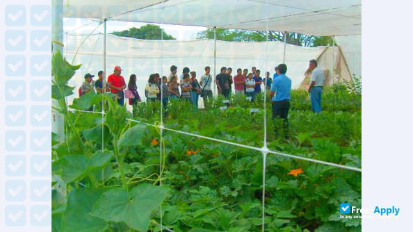 Higher Agricultural College of the State of Guerrero photo #3