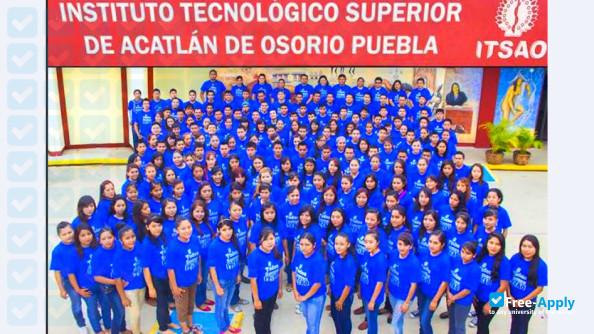 Technological Institute of Acatlán de Osorio photo #10