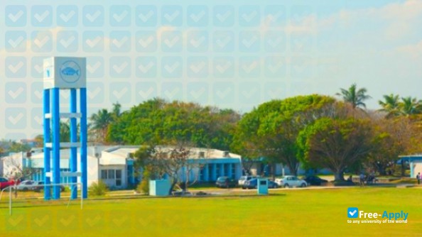 Technological Institute of Boca del Rio photo #10