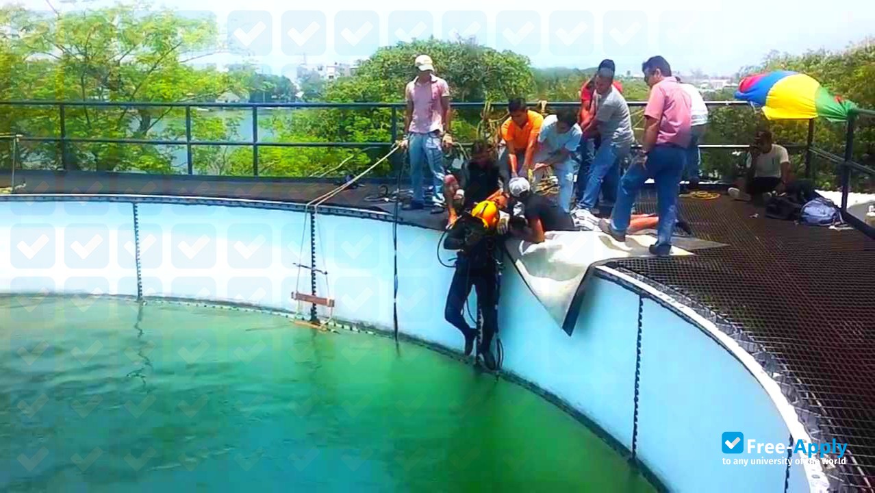 Technological Institute of Boca del Rio photo #5