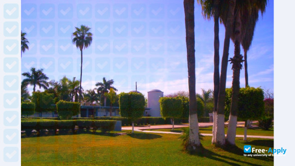 Yaqui Valley Technology Institute photo #1