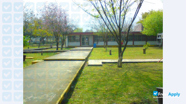 Photo de l’Technological Institute of Nuevo León #3