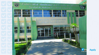 Miniatura de la Autonomous Mexico State University #6