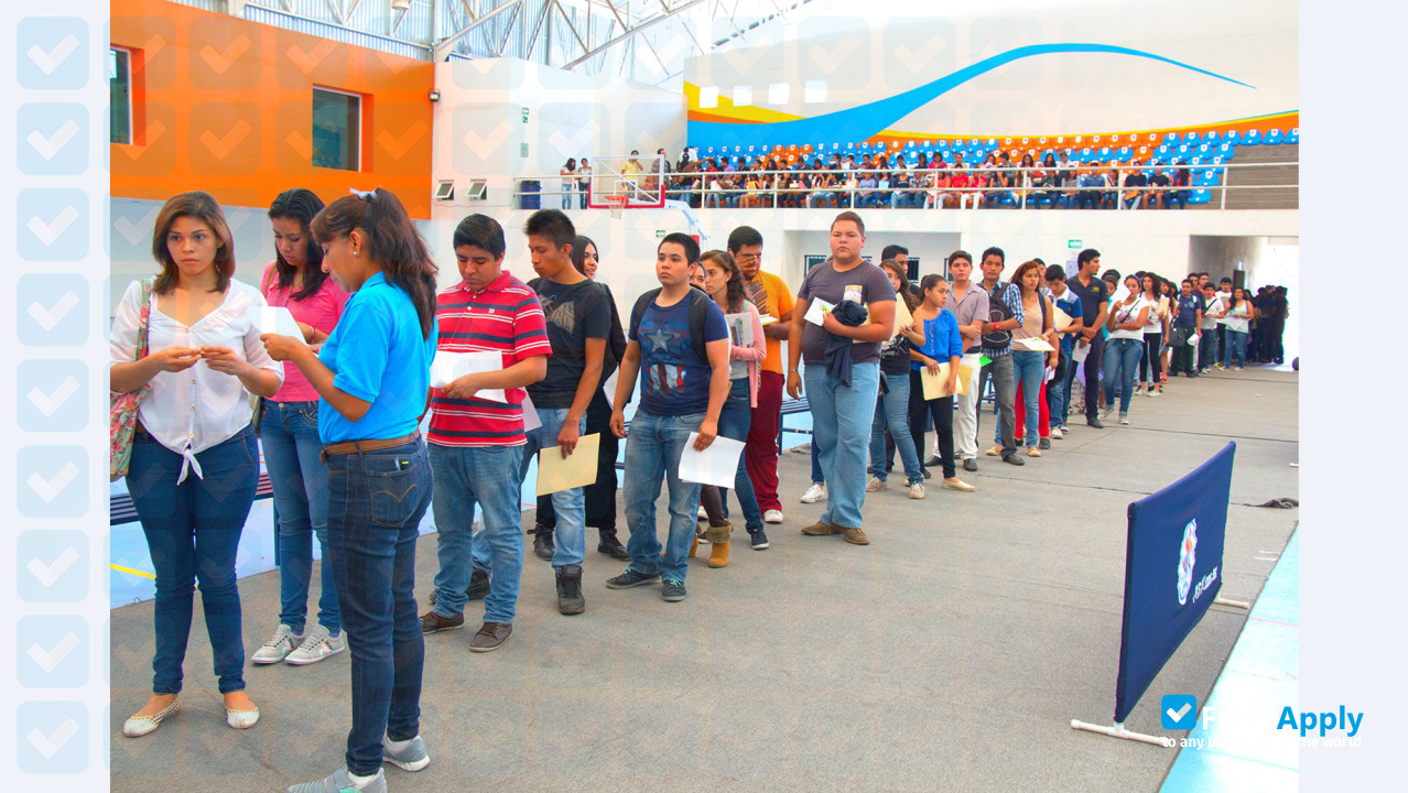 Photo de l’Universidad Autónoma del Estado de Morelos #4