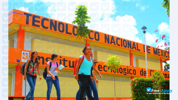 Chetumal Institute of Technology photo #10