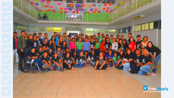 Autonomous University of Sinaloa фотография №7