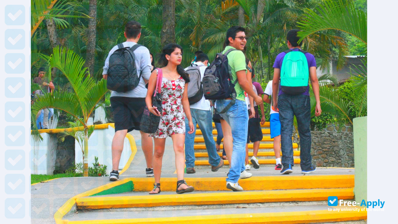 Institue of technology of Misantla photo