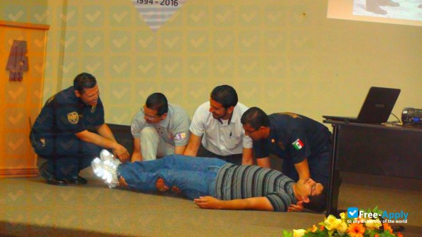 Institute of Technology Nuevo Casas Grandes photo #6