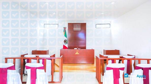 Universidad DoradosUniversidad Dorados photo