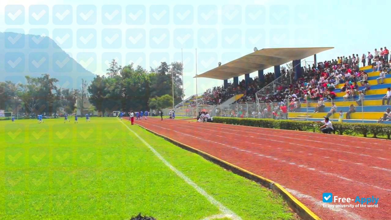 Superior Technological Institute of Cosamaloapan photo #2