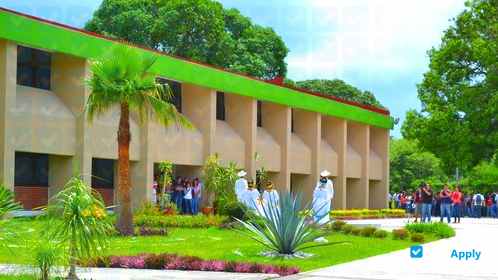 Foto de la Technological University of the Center of Veracruz #4
