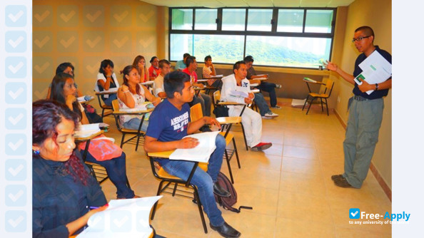 Technological University of the South of the State of Mexico photo #2